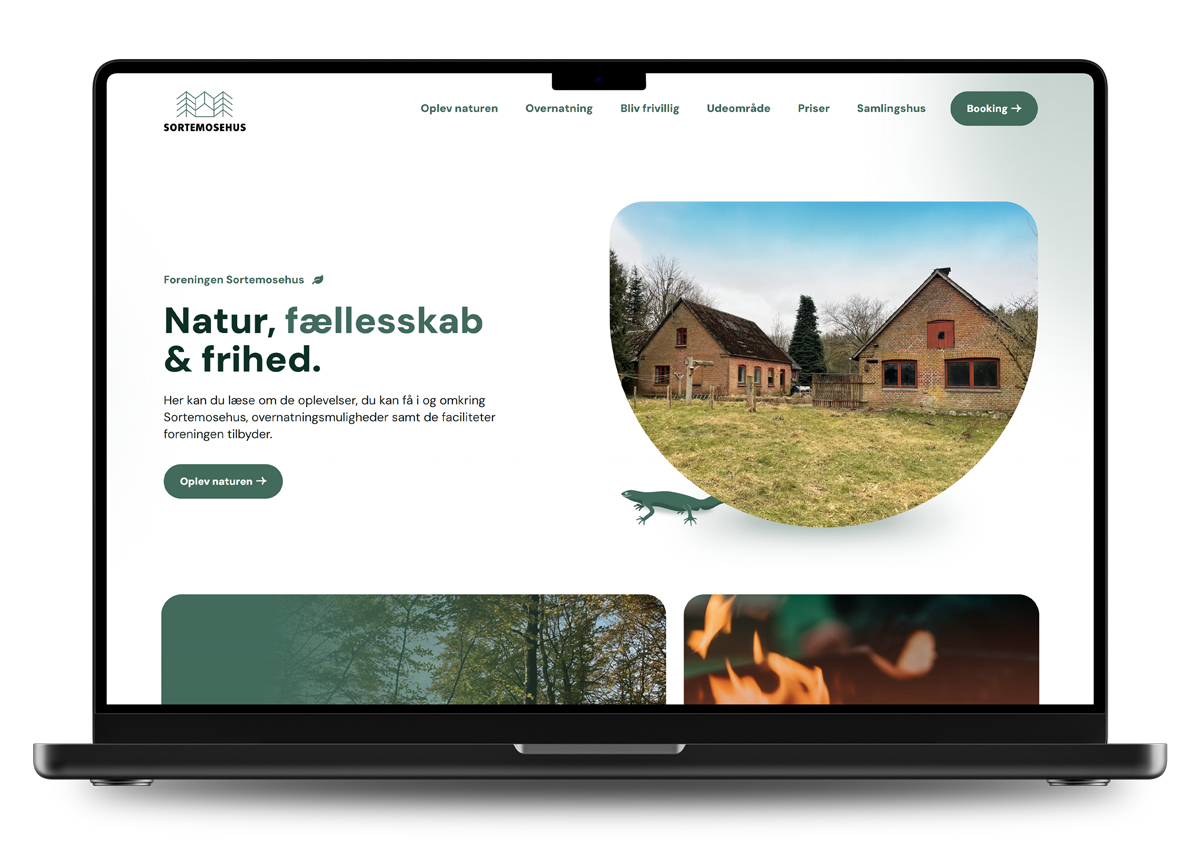 website-mockup-1